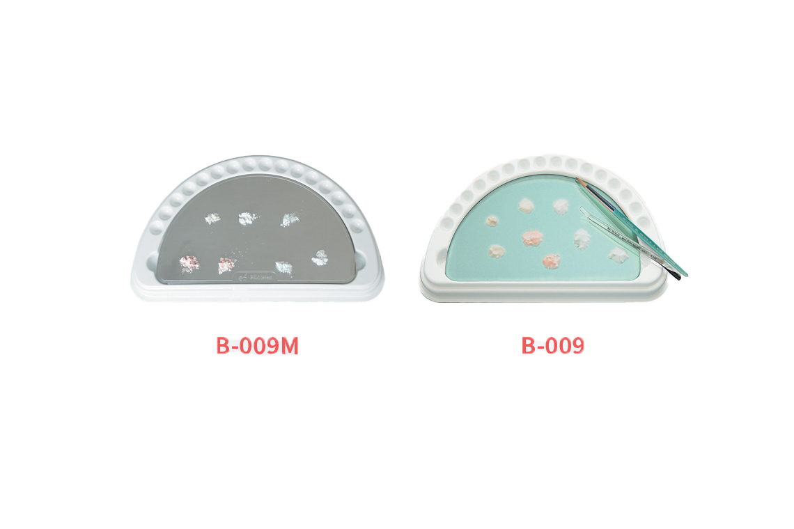 B-008M Dental Plate