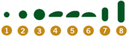 Wax Profiles