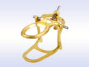 Bronze Denture