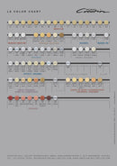 CC SHADE GUIDE HT-TI