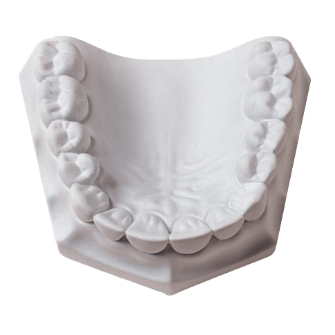 Orthodontic Stone